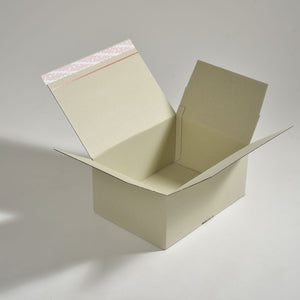 Nachhaltiger Versandkarton "SpeedBox Green" aus Graspapier aufgestellt mit Selbstklebestreifen